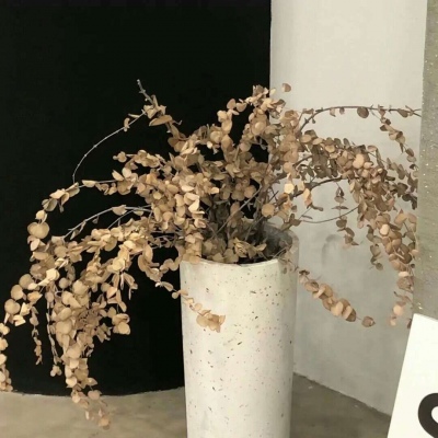 兽设森林场景创作Furry群